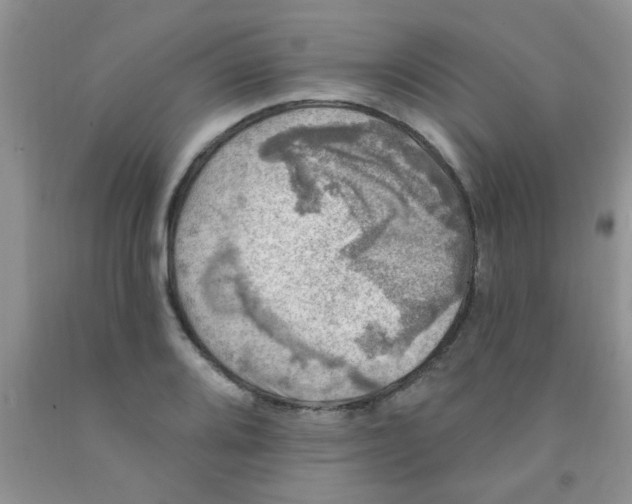 X0000091351080200709071234
