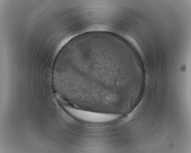 X0000091351081200709071234