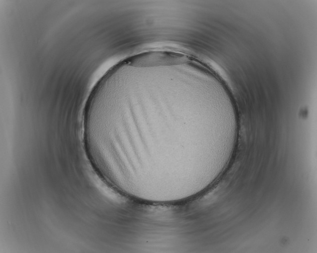 X0000091351082200709071234