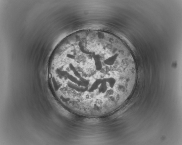 X0000091351083200709071234