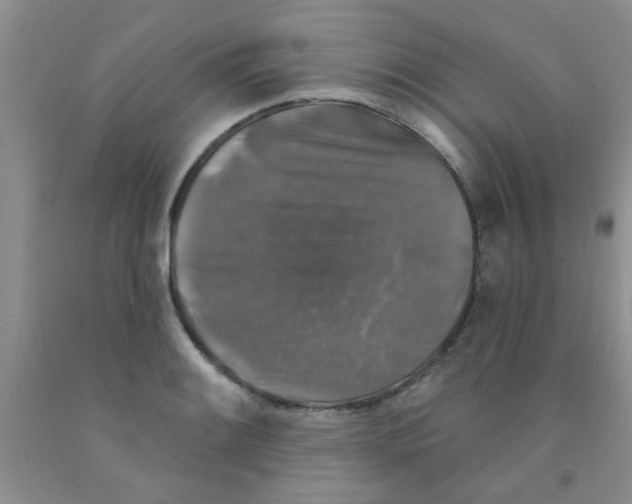 X0000091351084200709071234