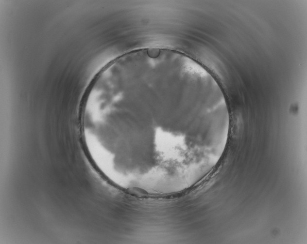 X0000091351087200709071234