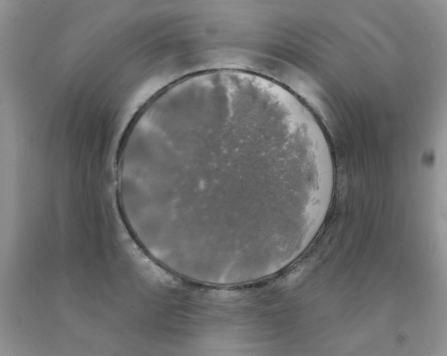 X0000091351088200709071234