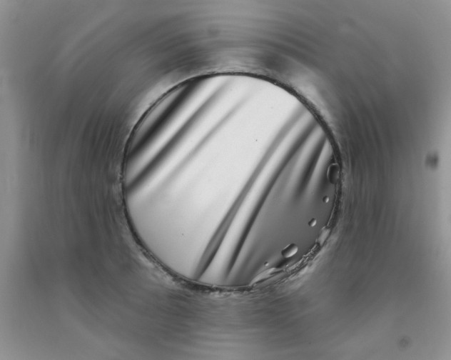 X0000091351089200709071234