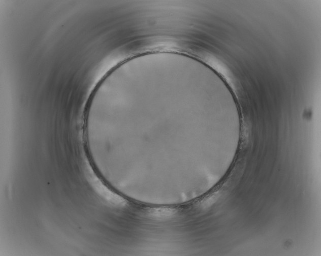 X0000091351090200709071234