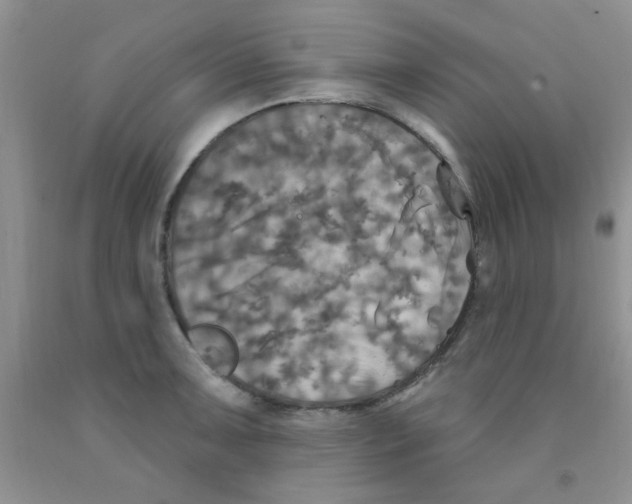 X0000091351091200709071234