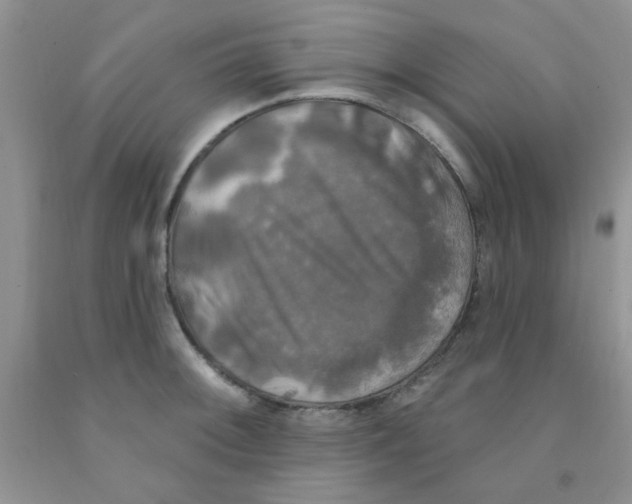 X0000091351092200709071234