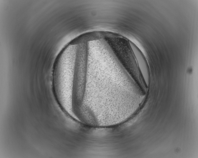 X0000091351093200709071234