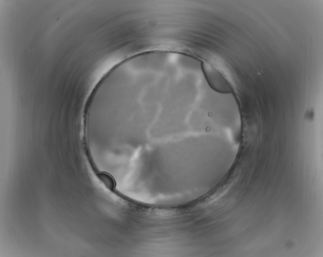 X0000091351095200709071234