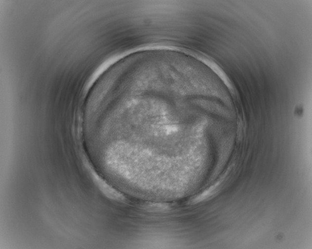 X0000091351101200709071233