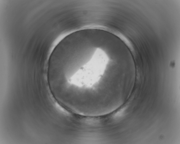 X0000091351102200709071233