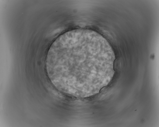 X0000091351105200709071233