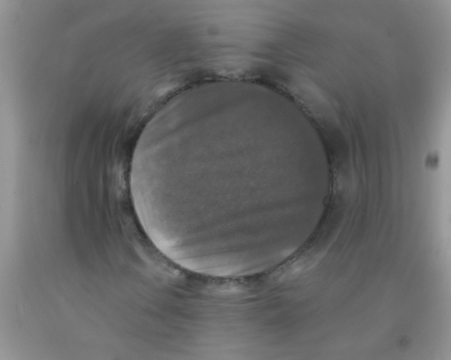 X0000091351106200709071233