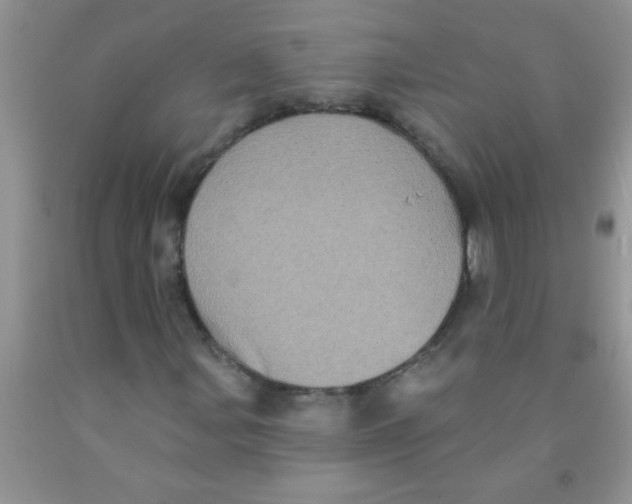 X0000091351107200709071233