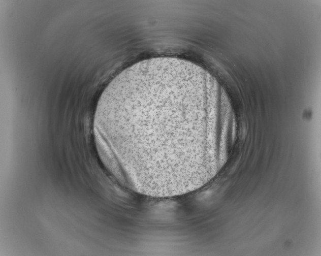 X0000091351108200709071233