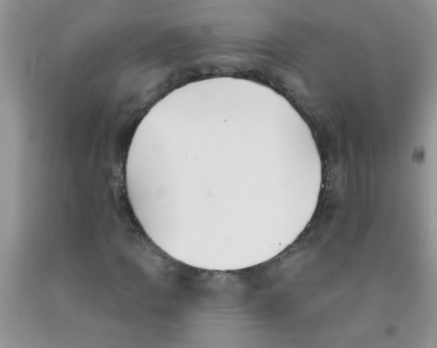 X0000091351109200709071233