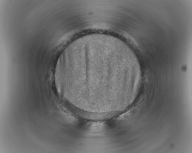 X0000091351110200709071233