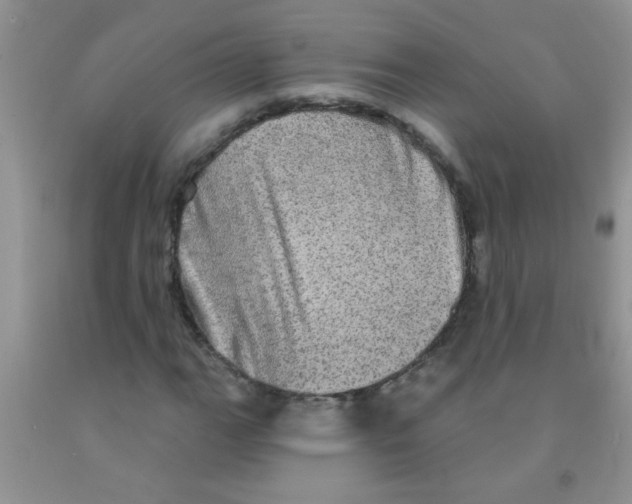 X0000091351111200709071233
