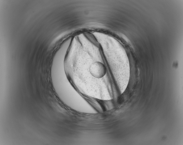X0000091351112200709071233