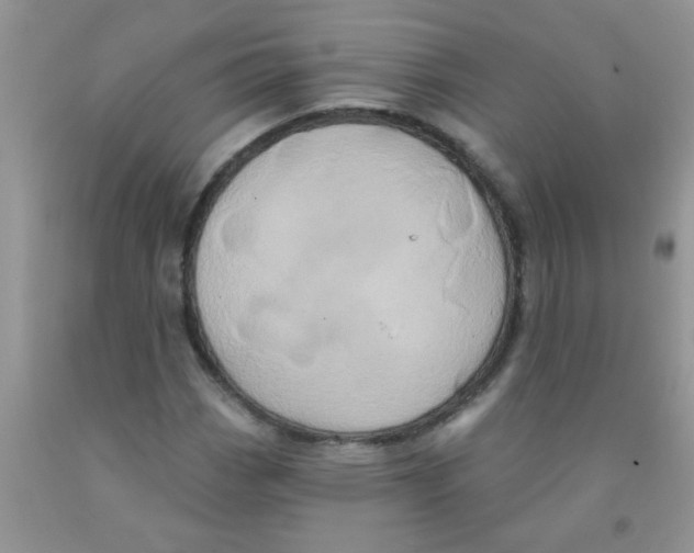 X0000091351113200709071233