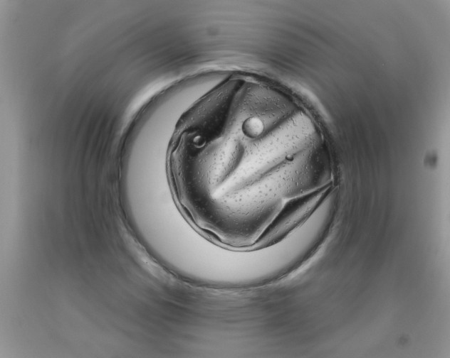 X0000091351114200709071233