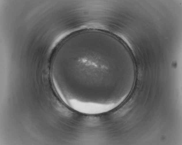 X0000091351115200709071233
