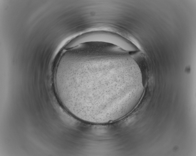 X0000091351116200709071233