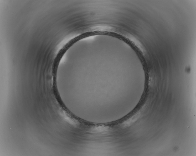 X0000091351117200709071233