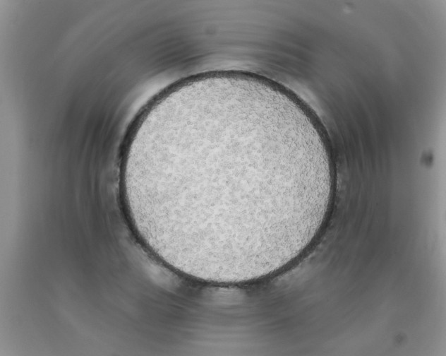 X0000091351119200709071233