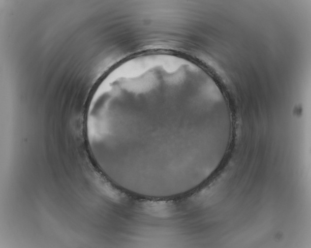 X0000091351121200709071233