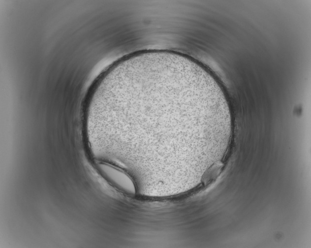 X0000091351122200709071233