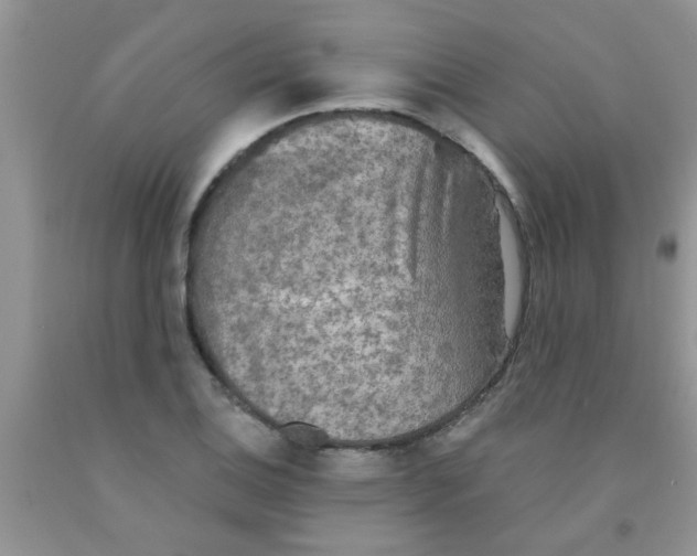 X0000091351124200709071233