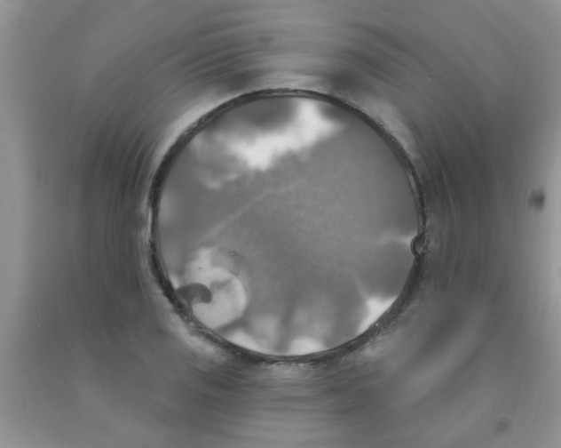 X0000091351125200709071233