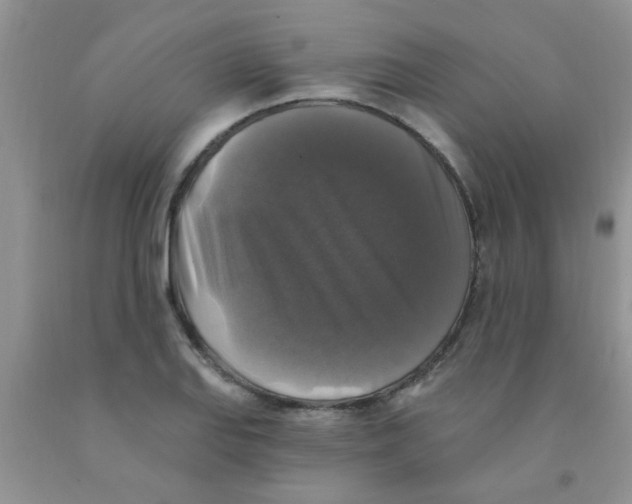 X0000091351127200709071233