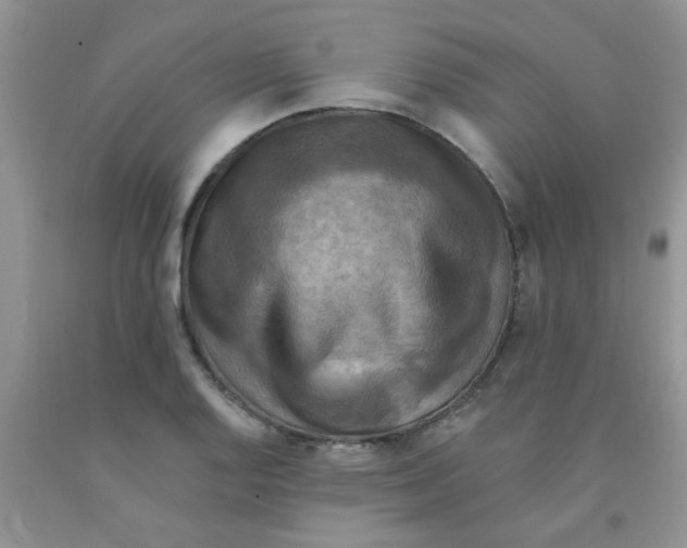 X0000091351128200709071233