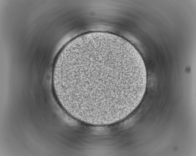 X0000091351130200709071233