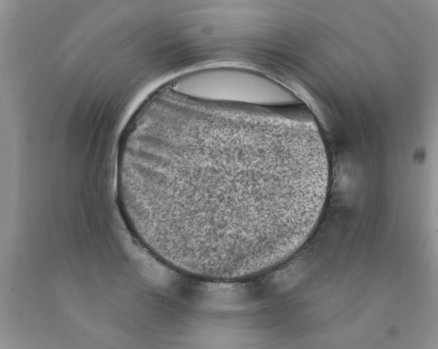 X0000091351132200709071233