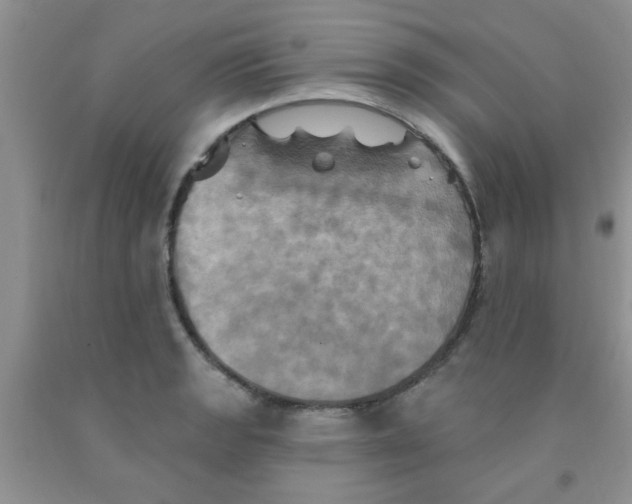 X0000091351133200709071233