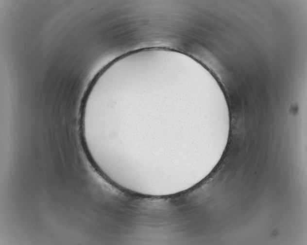 X0000091351135200709071233