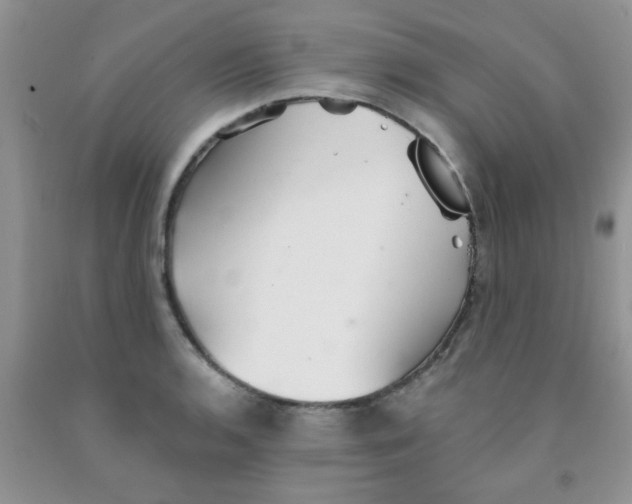 X0000091351136200709071233