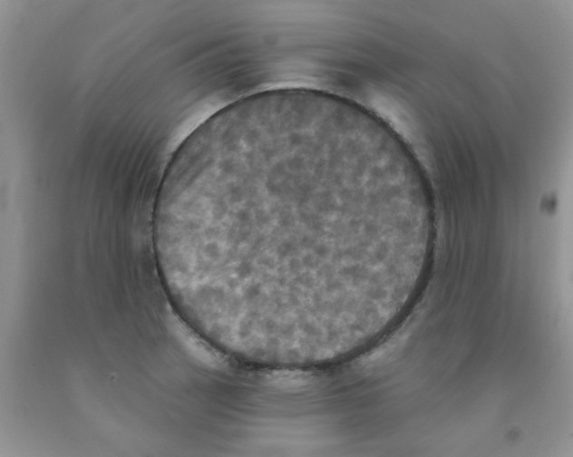 X0000091351137200709071233