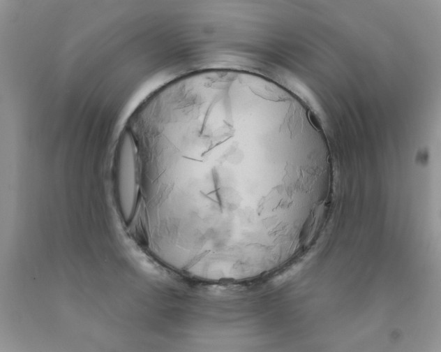 X0000091351138200709071233