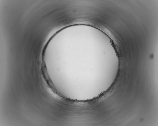 X0000091351140200709071233
