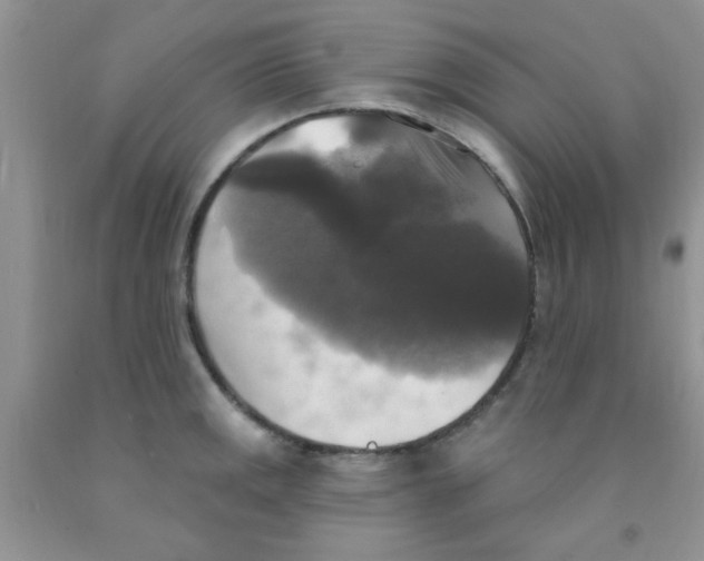 X0000091351141200709071233