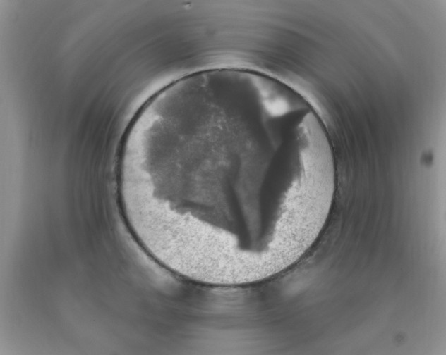 X0000091351142200709071233