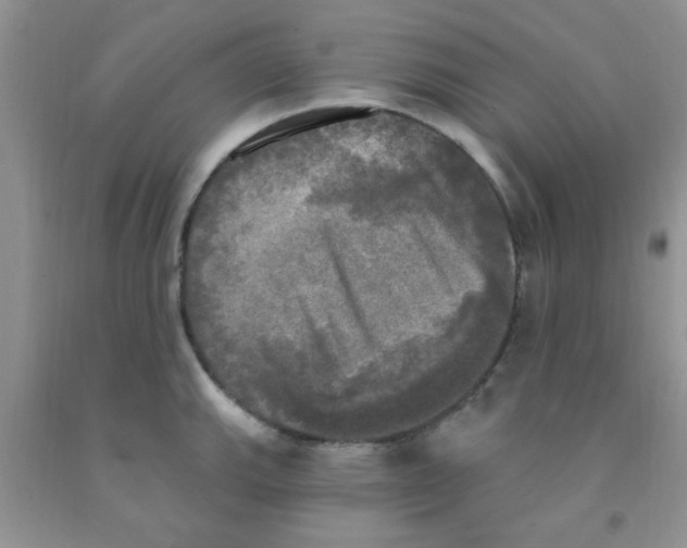 X0000091351143200709071233