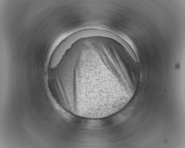 X0000091351144200709071233
