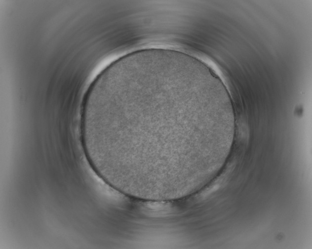 X0000091351147200709071233