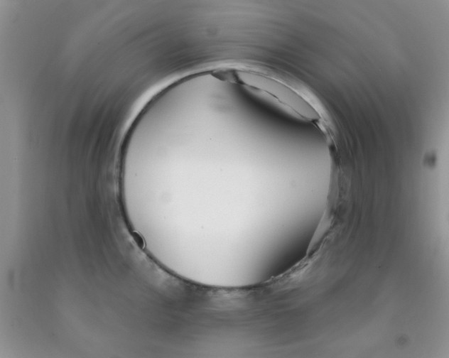 X0000091351148200709071233