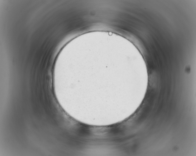 X0000091351150200709071233